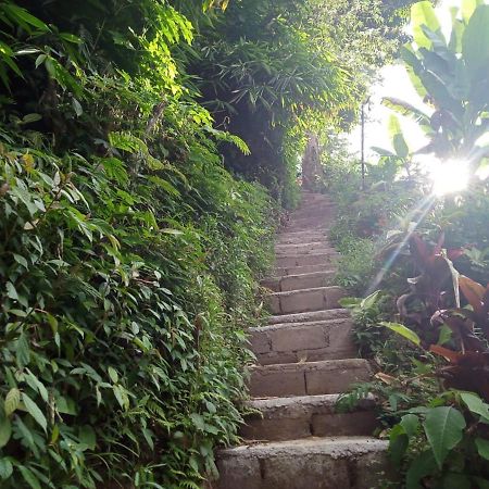 Jungleadventure Cabin Camping Bedugul  Exterior photo